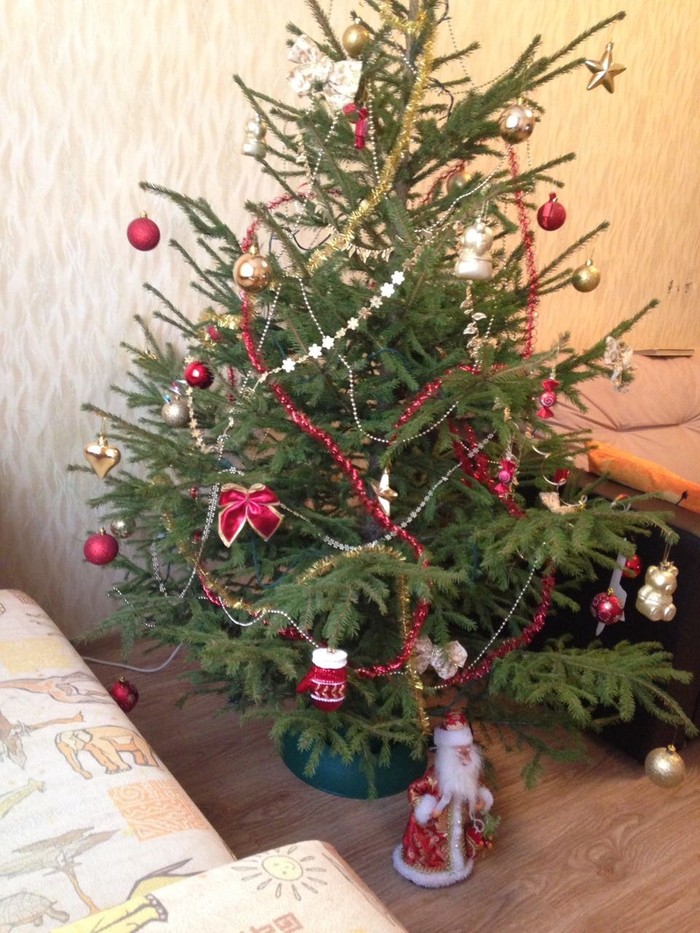 This is the end of the holidays - My, New Year, The Forest Raised a Christmas Tree, Tags are clearly not mine, Longpost