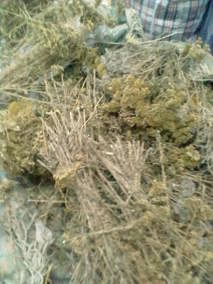 151441153519787289 макет диплома это что такое