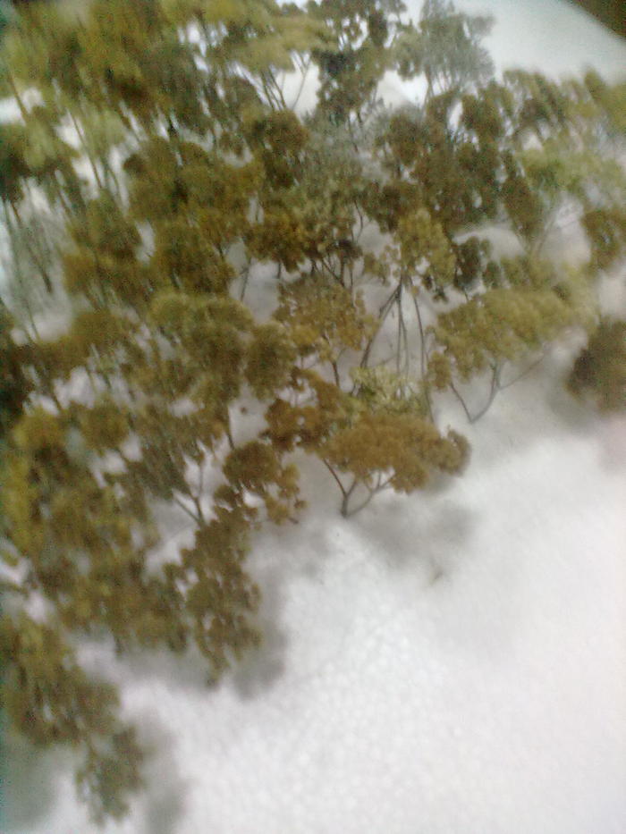 1514411547162798505 макет диплома это что такое