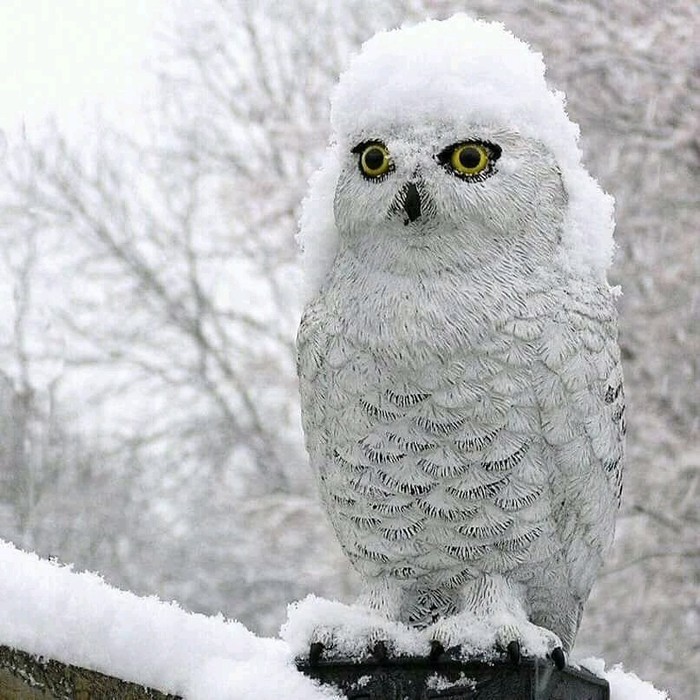 �������������: "� ����� ���� ���������� �����!"