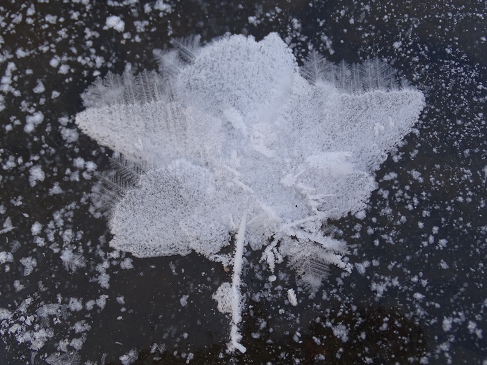 The Art of Mother Winter, on the River Razdolnaya (Suifun) - part 1. - My, Дальний Восток, Primorsky Krai, Oktyabrsky District, Razdolnaya River, Winter, Ice sculpture, Incredible, Longpost