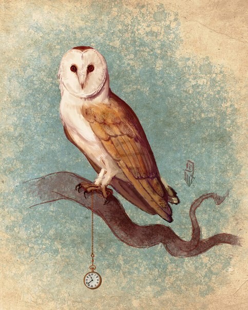 Owl art. - Owl, Birds, Art, The photo, Longpost