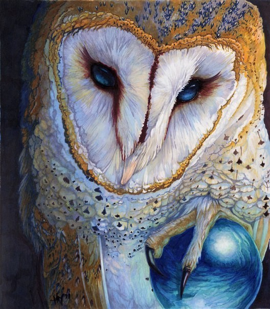 Owl art. - Owl, Birds, Art, The photo, Longpost