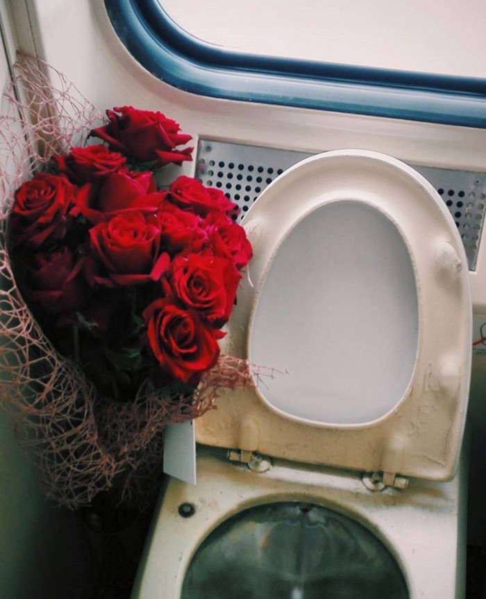 When the red rose is the emblem of sadness - My, Romance is dead, Nevsky Express, Moscow, Saint Petersburg