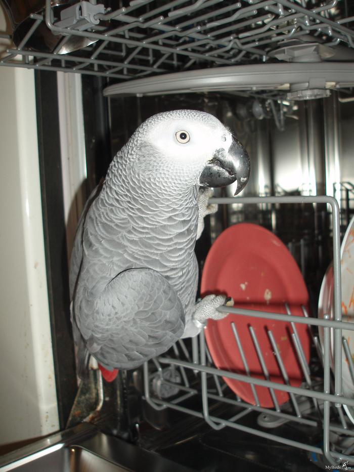    , , , , , , 
