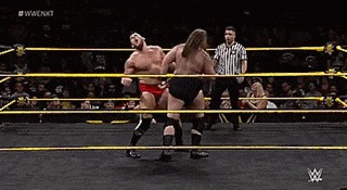 NXT Wrestling