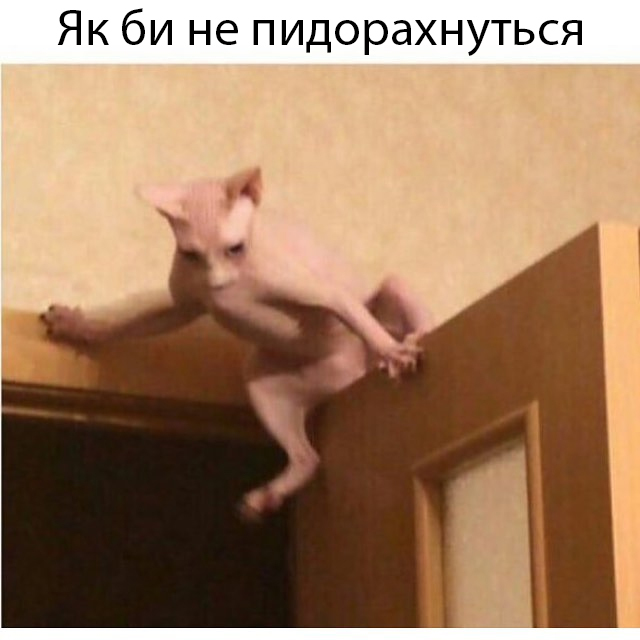 Коротко об игре Getting over it - Getting over IT, Кот, Сфинкс, Мужик в котле