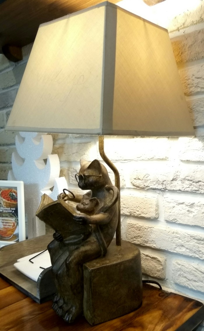 Catolamp - My, Cat with lamp, Interior, Desk lamp, Hardened, Longpost