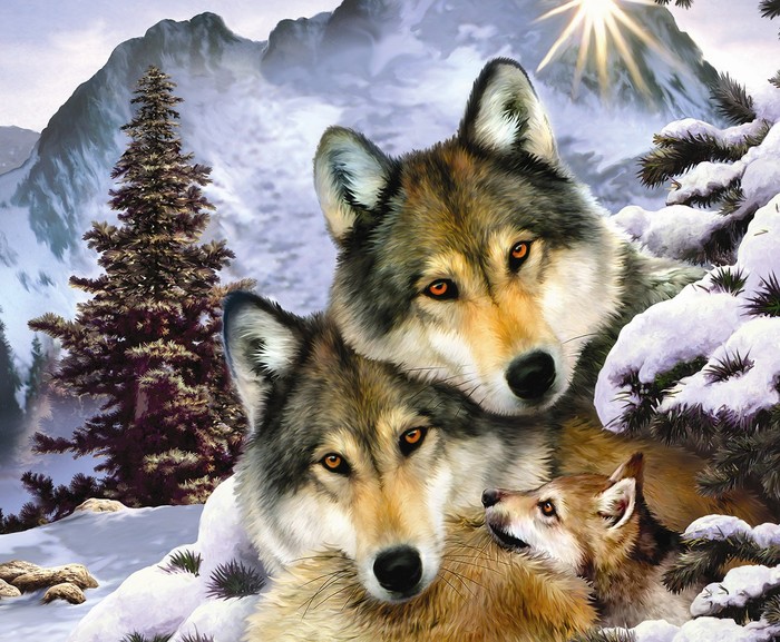 And wolves are much kinder than humans... - The photo, Poems, Animals, Longpost