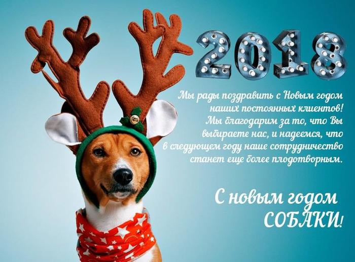 Happy New Year, dogs! - My, Congratulation, 