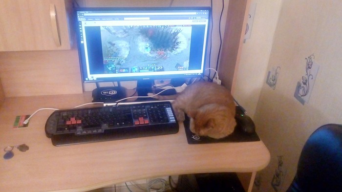 Коврик для мышки..или кошки?