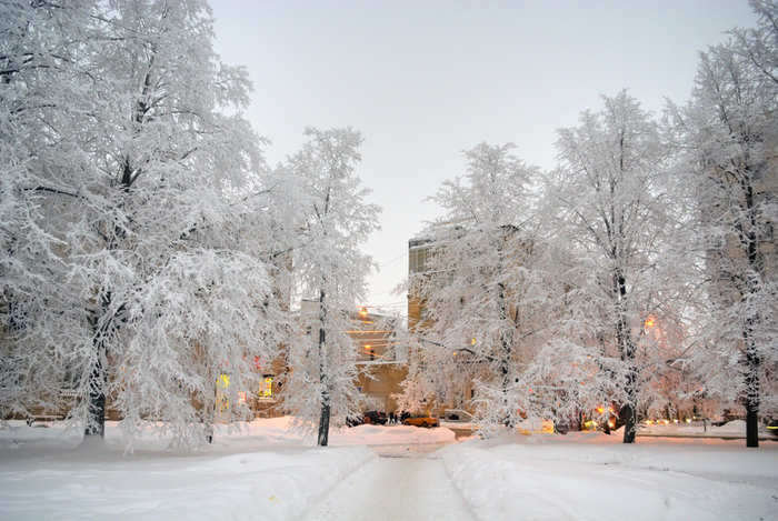 Fabulous winter on the Black River. - My, Saint Petersburg, The photo, Black River, Winter, Cityscapes, Snowball, Longpost, Street photography