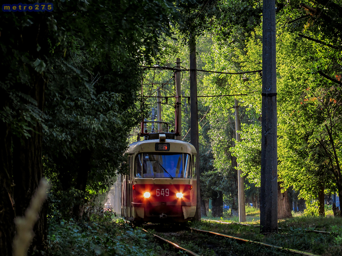 Forest tram - My, Tram, Kharkov, Forest, Summer, Gate, Transport, Railway carriage, Electric transport