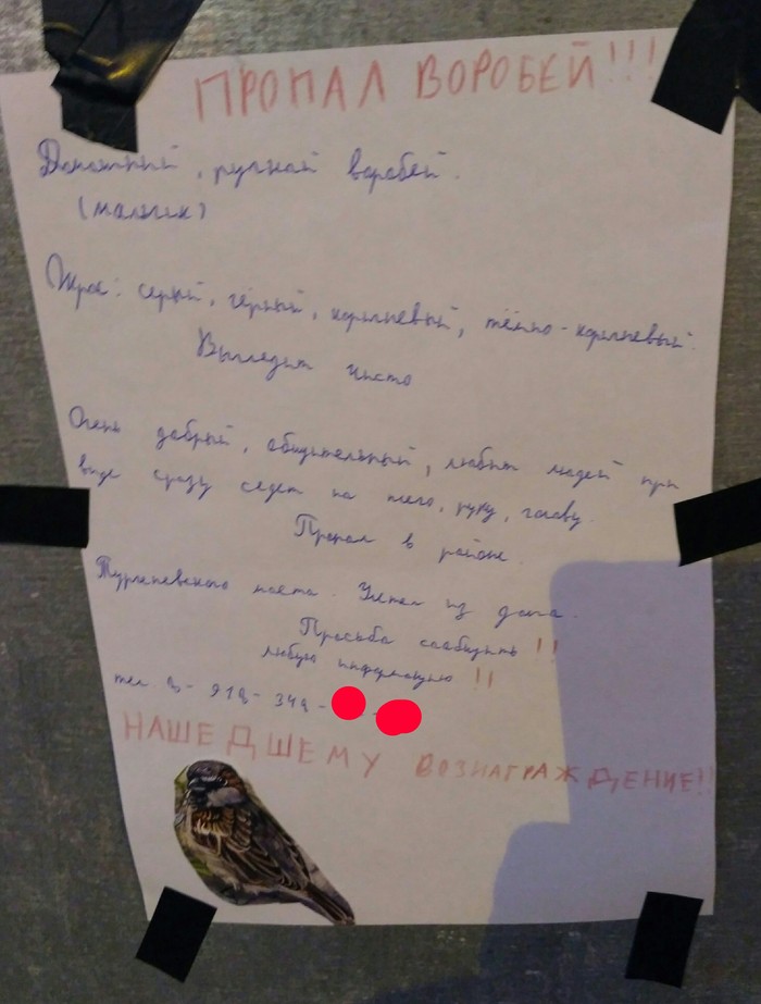 � �������� �� ������!