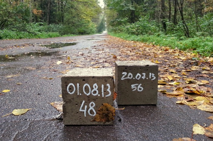 Concrete cubes in the forest - Forest, My, Elk Island, Find, Mystery