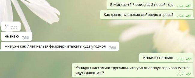 В Канаде запрещена продажа пиротехники. - Пиротехника, Моё, Москва, Новый Год, Канада