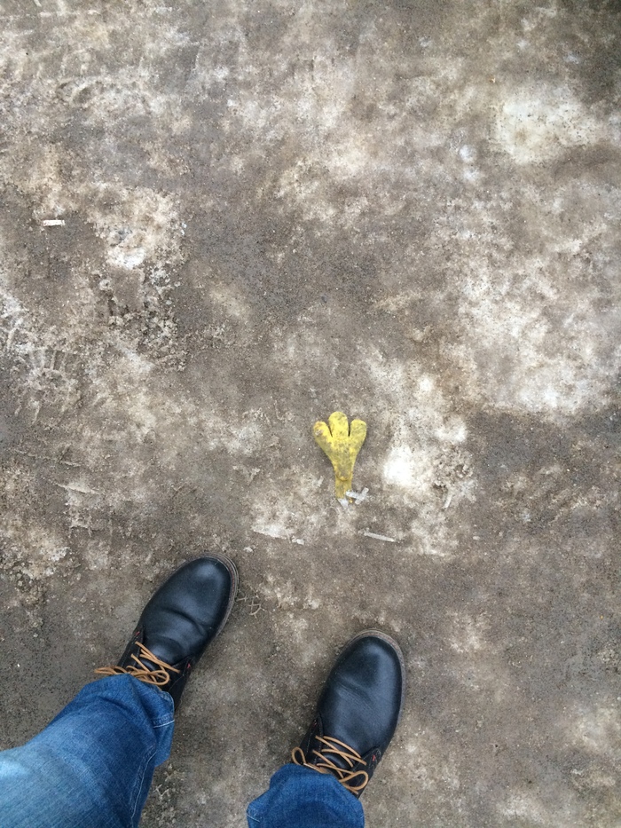 Which chick lost her glove... - Gloves, My, Definition