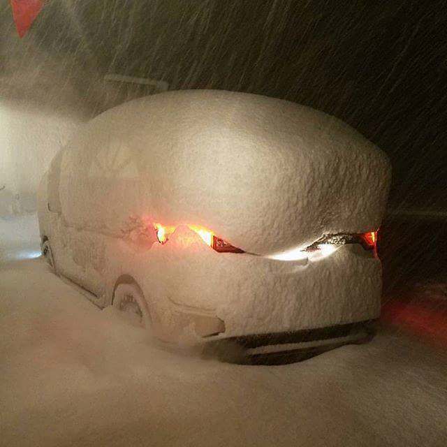 Nicely covered - Snow, Car