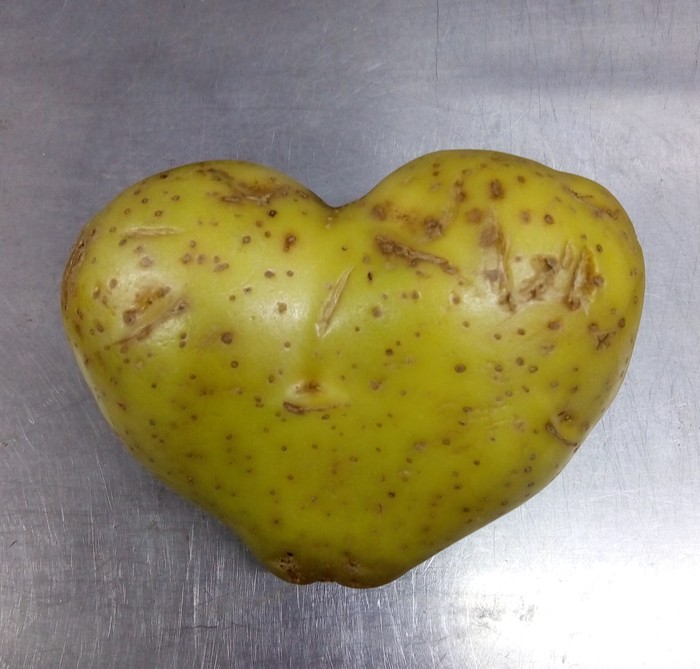 Belarusian heart - My, Potatoes of Love, Belarusians