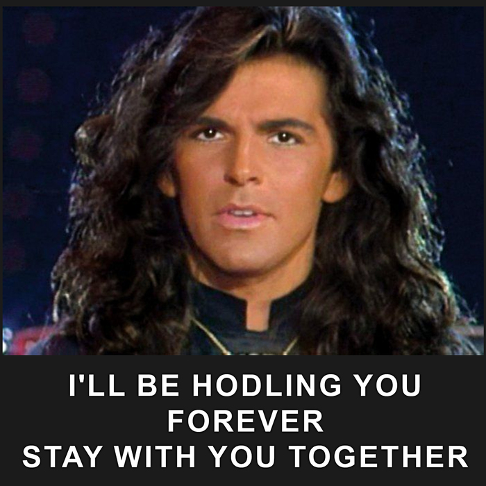 Now it's clear what they were singing about !!! :D HODL!! - My, Memes, , Bitcoins, Thomas Anders, Modern talking