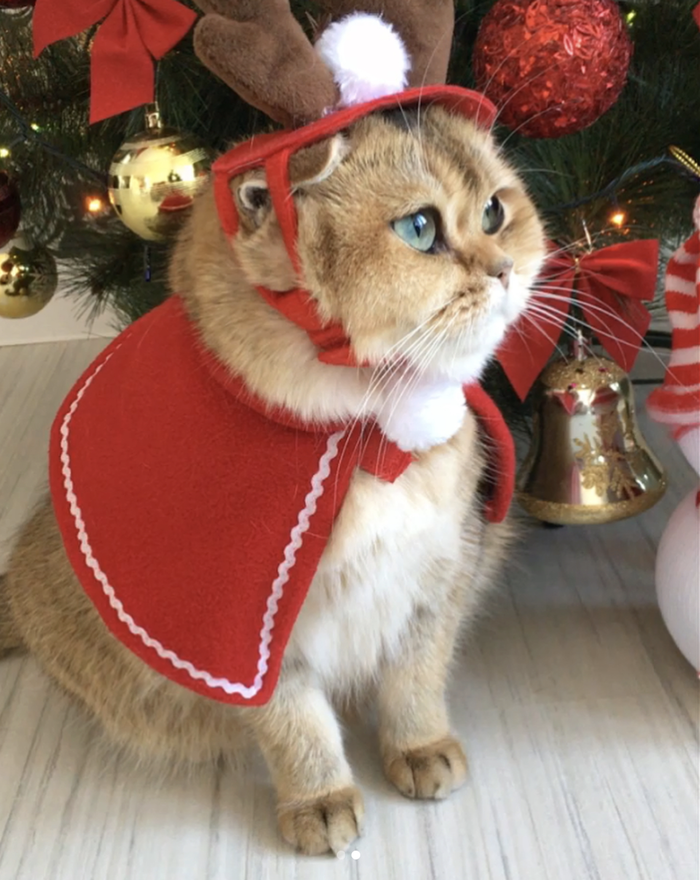 Кафе  "У пани Сони"