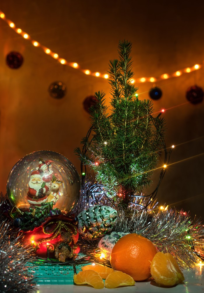New year photo - New Year, The photo, My, Christmas trees, Tangerines