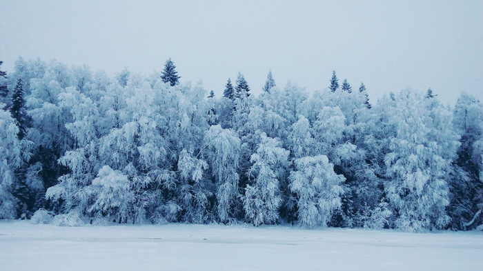 North Karelia, Chupa settlement - My, North Karelia, -25, White Sea