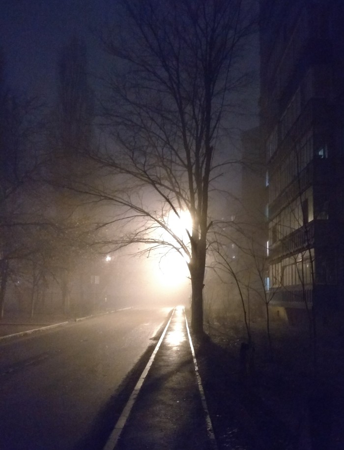     ... ?,  , , Silent Hill