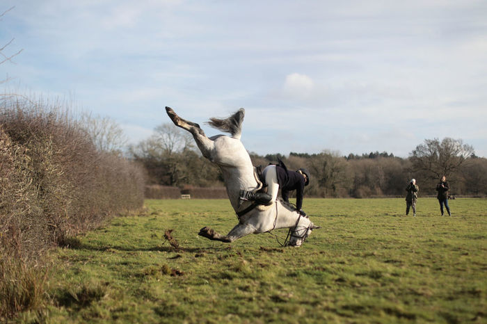 Oppa, chirp! - England, Jumping, Rider