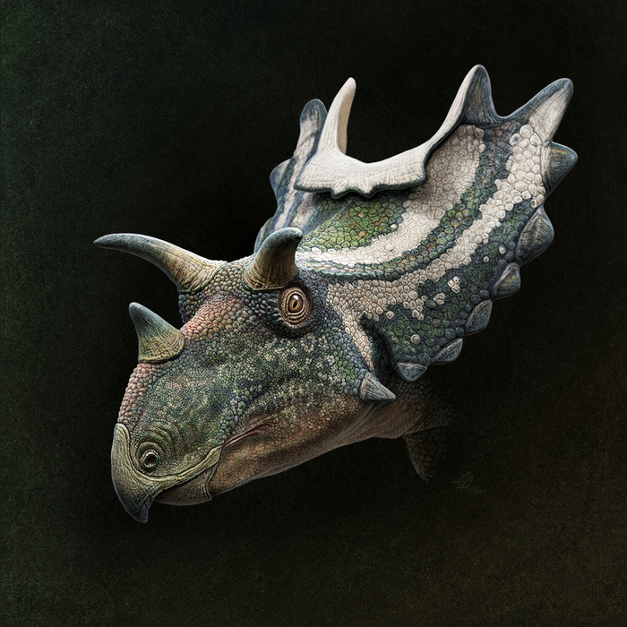 Portrait gallery of horned dinosaurs - Paleontology, Paleoart, Dinosaurs, Longpost