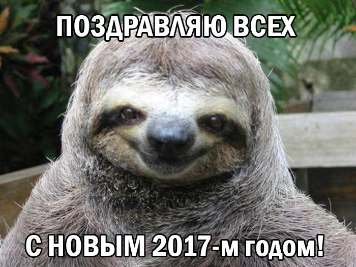 Happy New Year to you all!) - Sloth, New Year, 2017, 2018, Picture with text