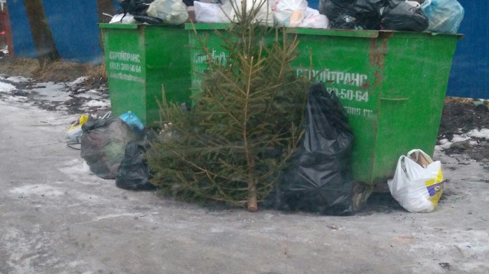 Changed my mind about celebrating - New Year, Threw away the tree