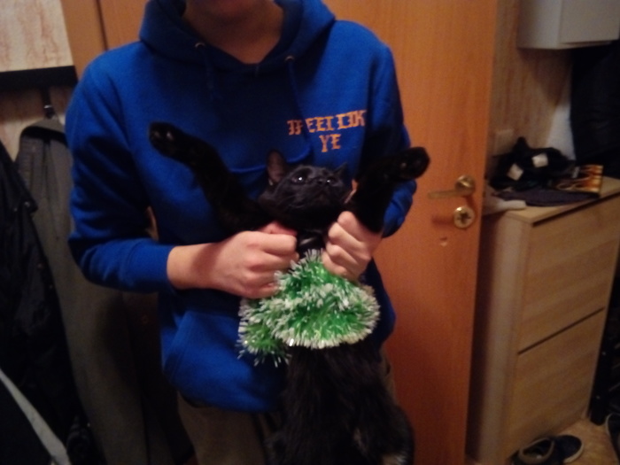 ���������� ����������