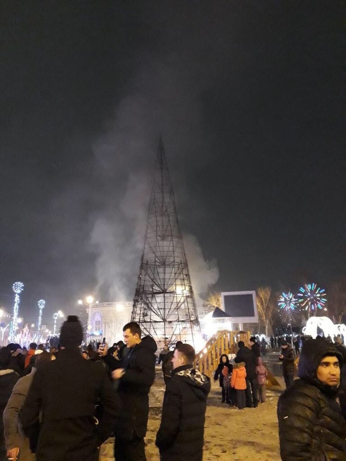 New Year on Sakhalin)) - New Year, , Christmas trees, Longpost