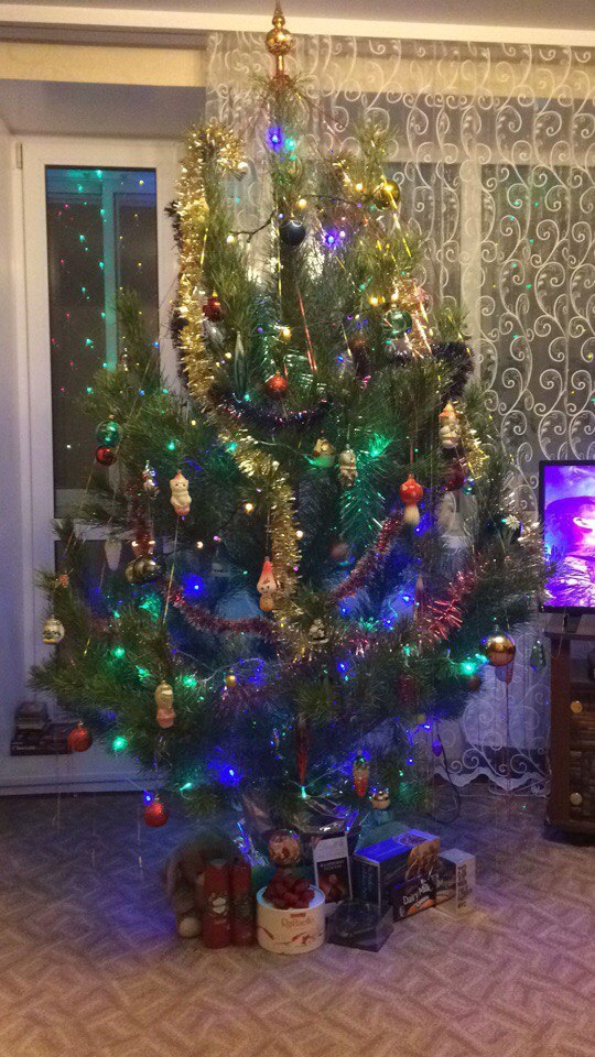 ����� ���������� ����