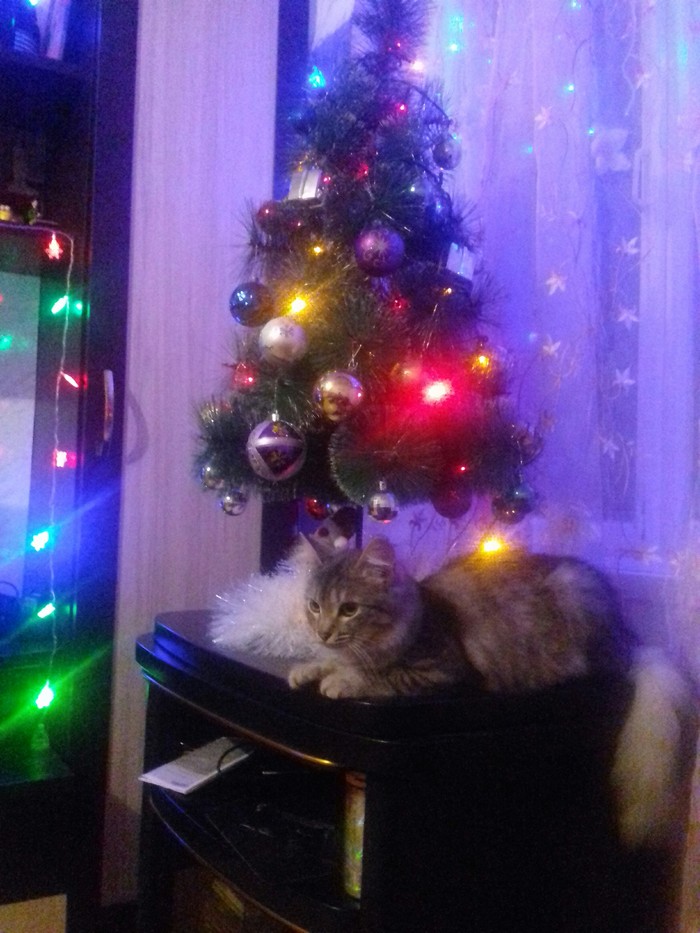 ���� � ����� �����))))