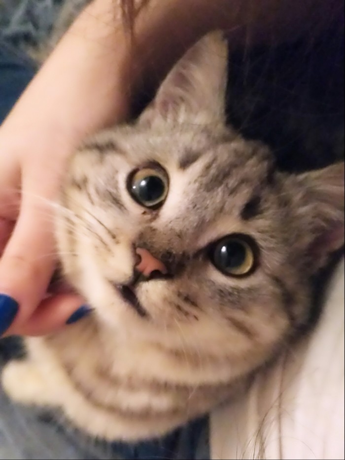 ������ ����� :)