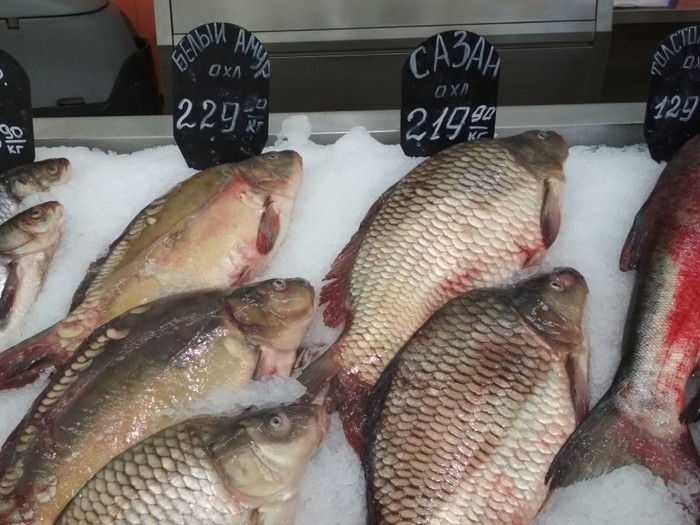 ���� - �� �� �����, �� �� ����� ����.