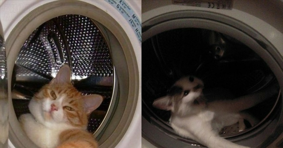 Russian humor Картинки, Рабочие мемы, Шутки