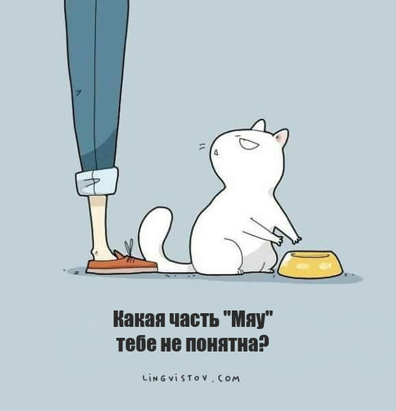 Talking to cats is easy - cat, Food, Meow, Drawing, Translation