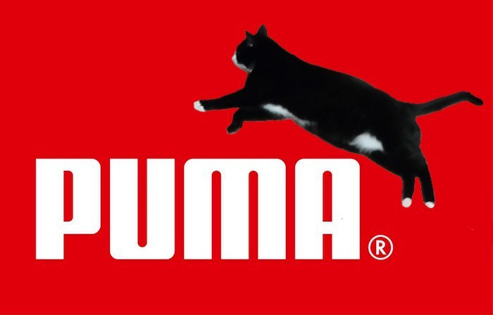 Puma is no longer the same - My, Puma, Brands, cat, Sport, , New Year's Kote