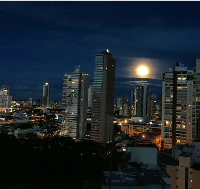 ���������� ������ ����