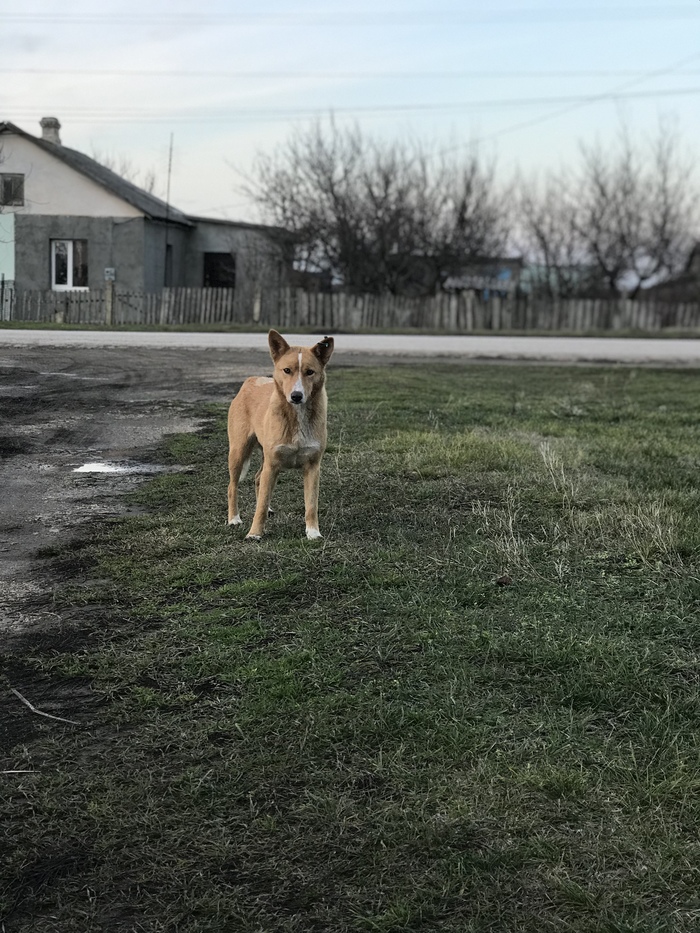 �� �����, �������