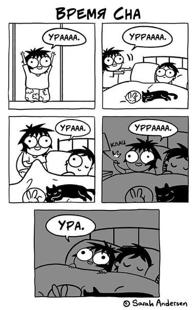 Time to sleep - Daub time, Sarah Andersen, Comics