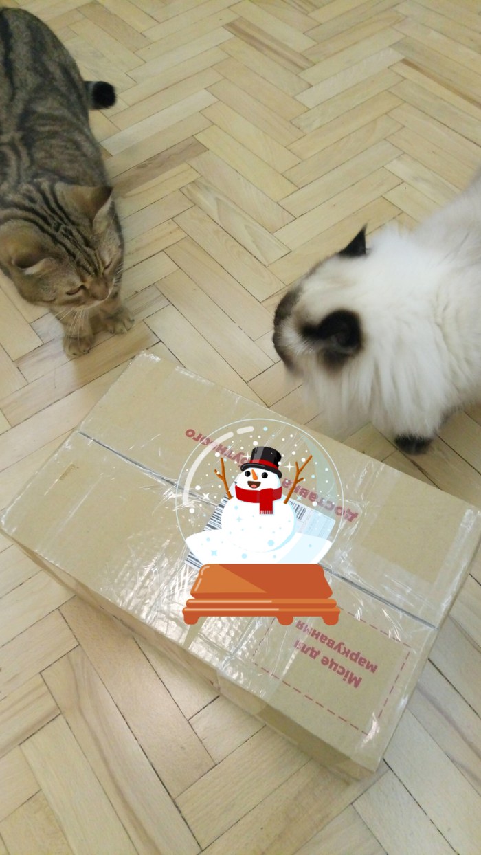 My Secret Santa from Kharkov - My, New Year, Secret Santa, Presents, Gift exchange, Longpost, Anonymous Dedmoroz, cat