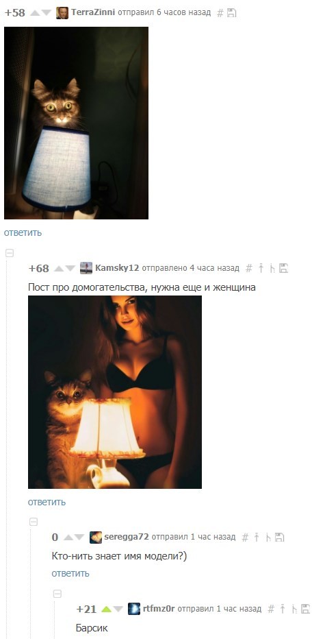 Name! - Screenshot, Screens of comments, Names, cat, Лампа, Comments on Peekaboo, Comments