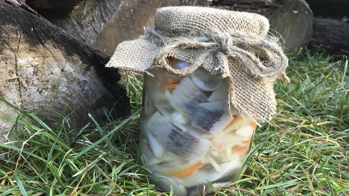 Christmas pickled herring - My, Cooking, Recipe, Herring, , Video recipe, Photorecept, Quick Recipe