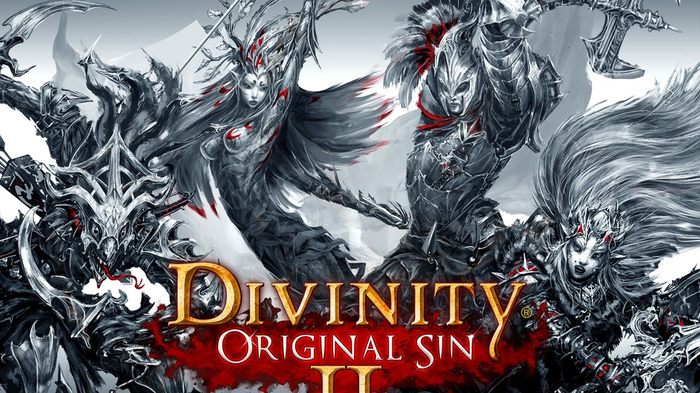 Силой Пикабу ищу напарников - Divinity: Original Sin, Divinity, Совместная игра, Сила Пикабу