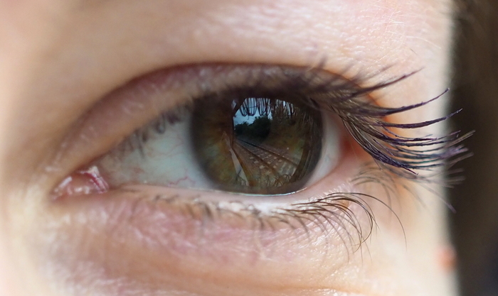 ������ � �����