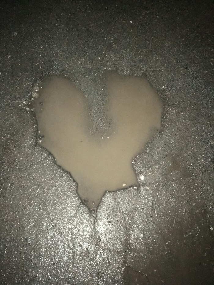 ���� �������